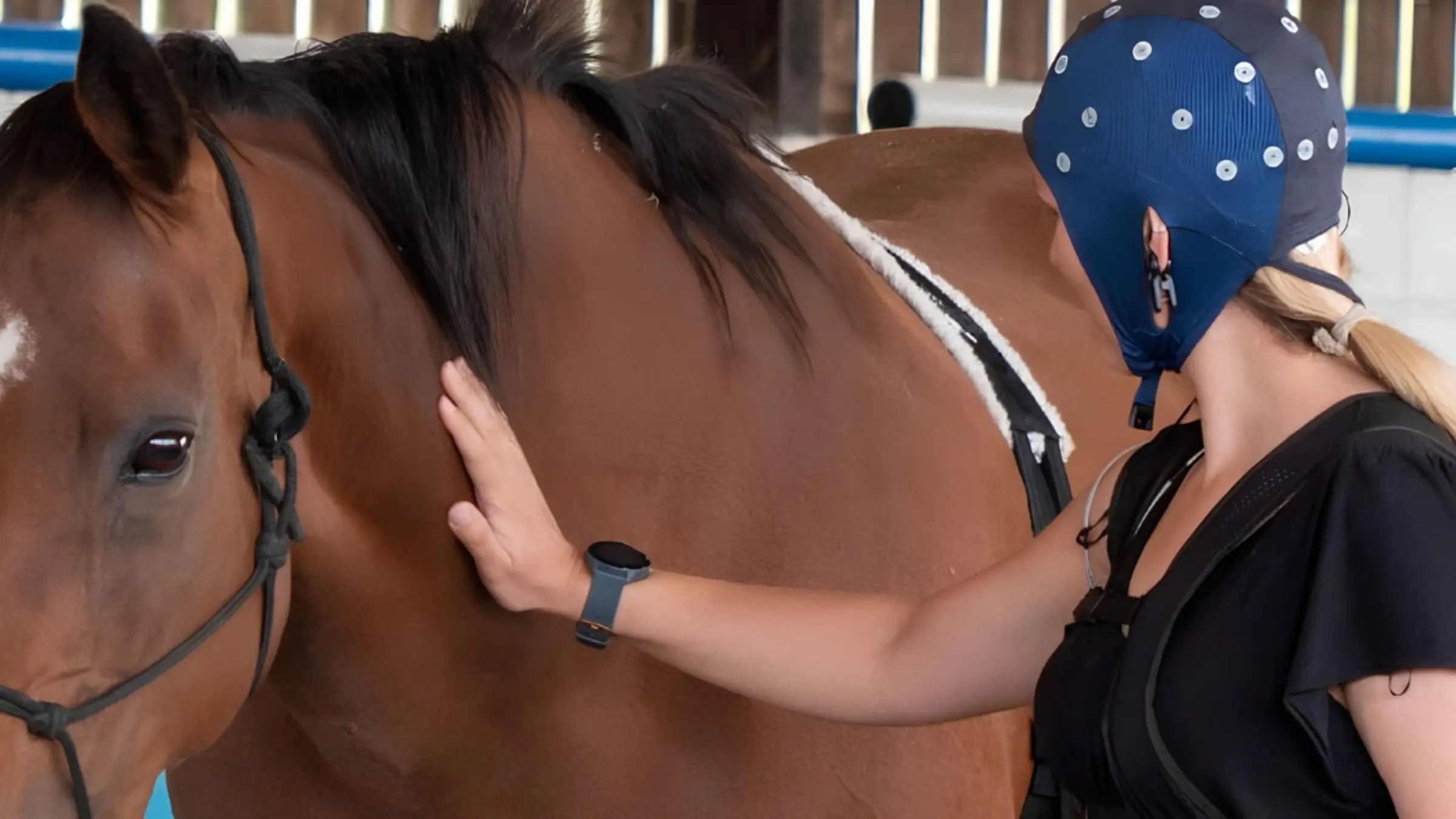 Horses for Courses: Why TG0's motion capture technology is the perfect match for Virtual Equine Therapy